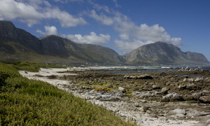 Bed & Breakfasts in Bettyâ€™s Bay