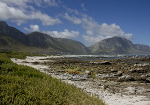 Bed & Breakfasts in Bettyâ€™s Bay
