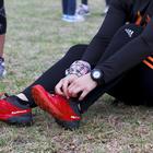 Patatfees Highlights 2016