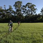 Patatfees Footage 2016