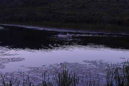 Arum Lily dam at sunset