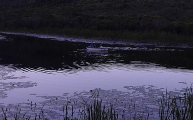 Arum Lily dam at sunset Arum Lily dam at sunset