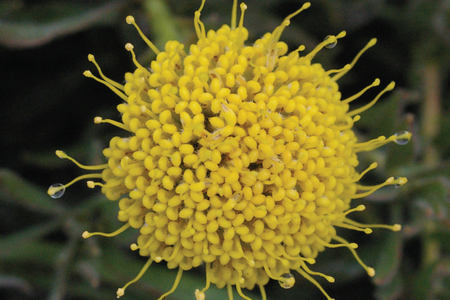 picraw2224Thumbnail_1