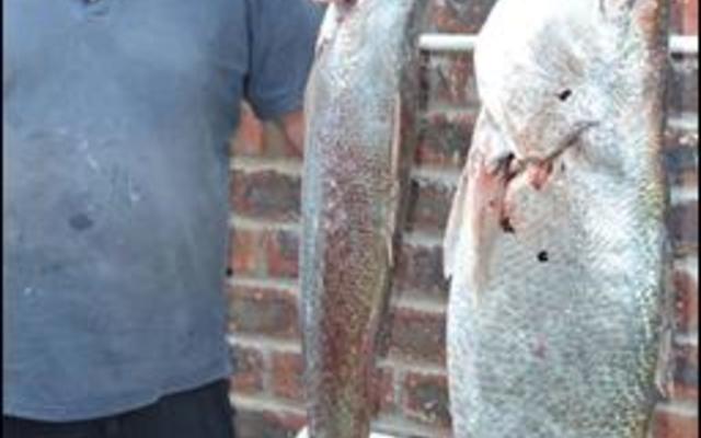 Andre Kotze het almal met sy tweede plek verras.