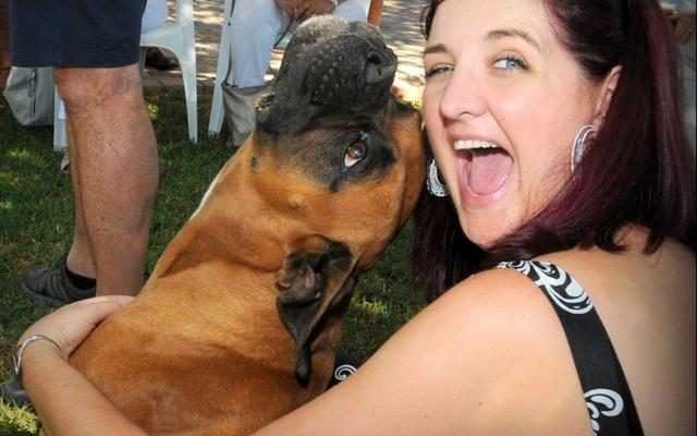 Pietie, die boelhond, wonder wat voer Nelleke Ferreira in die mou.Â  Saterdag, 1 April is dit wÃªreldwyd â€˜April Foolsâ€™ Dayâ€™. In Gansbaai reÃ«l Pearly Beach hulle maandelikse mark, Birkenhead Bootklub hou â€˜n Rock-'n-Roll dans en Helpende Hand bring Manual Escorcio en Belia se Sy en Satyn Duette Konsert na die Pretoriussaal. Wat ookal gebeur â€“ loop maar lig vir die grapjasse in jou vriendekring!