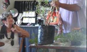 Groener weivelde vir Bietoubossers