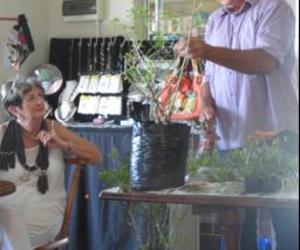 Groener weivelde vir Bietoubossers