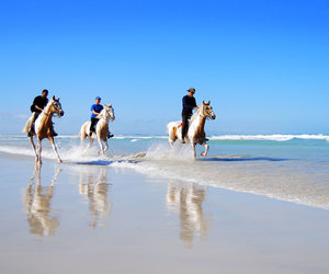 Exciting Outdoor Adventures in L'Agulhas & Struisbaai