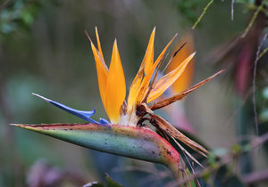 Upcoming Events in Swellendam