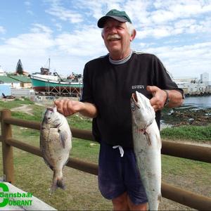 Sampie Lauwrens, â€˜n nuwe klublid by Birkenhead Bootklub, het met sy eerste deelname aan â€˜n klubkompetisie die swaarste vis vir die dag ingeweeg. Hier glimlag die afgetrede groente-boer met â€˜n geelbek van 2.9kg en een van die hotnotvisse wat hy kant toe gebring het.  