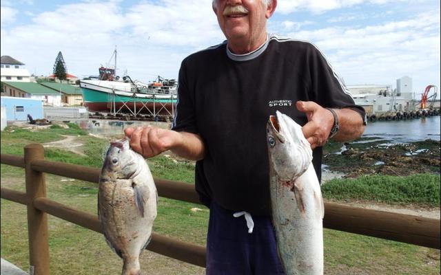 Sampie Lauwrens, â€˜n nuwe klublid by Birkenhead Bootklub, het met sy eerste deelname aan â€˜n klubkompetisie die swaarste vis vir die dag ingeweeg. Hier glimlag die afgetrede groente-boer met â€˜n geelbek van 2.9kg en een van die hotnotvisse wat hy kant toe gebring het.  