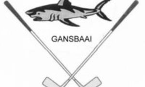 Competitions for May 2017