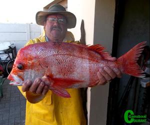 Rooistomp uit Joubert se Dam