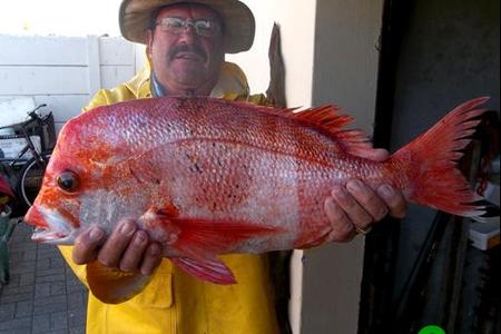 Eddie Bester was in sy skik met sy PW (rooistomp) van 3.2kg wat hy verlede week by Joubert se Dam gevang het, aangesien daar nie veel ander vis op die oomblik is nie.