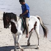 Werner enjoying a beach ride