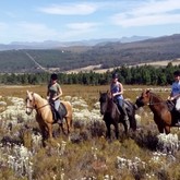 Heaven & Earth Horse Riding Trails