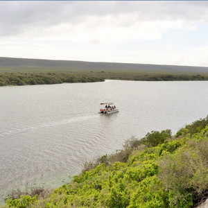 Eco Boat Cruises along the Vlei