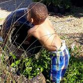Children enjoying the freedom of play and exploring