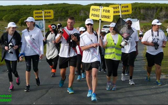 â€œLaat die pret begin!â€ met die amptelike Pikkewynstappers voor, waar die staptog by die African Penguin and Seabird Sanctuary in Kleinbaai begin het.
