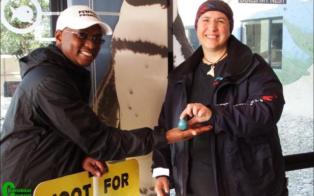 Meredith Thornton van Dyer Eiland Bewaringstrust oorhandig die tradisionele Afrika pikkewyneier aan Siya Mafunda van die Boulders Pikkewynkolonie by Simonstad. Die seremonie dien as â€œHoop vir die Afrika pikkewynâ€.
