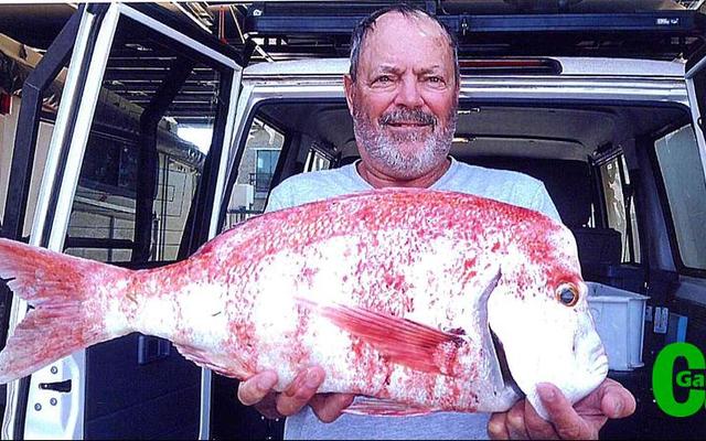 Rikus de Wet van Franskraal, â€˜n lid van die Birkenhead Boothengelklub, kon â€˜n week gelede spog met â€˜n allemintige rooistomp van 3.8kg. Hy het die vis vanaf Jean Downing, wedstrydsekretaris van die klub, se boot, Releks 2 met sardyn gevang. Jammer dit was nie â€˜n klubkompetisie nie, Rikus, dan sou jy â€œvoor in die koorâ€ gewees het!