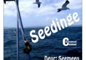 Voertuig beskadig? Doen die regte ding.