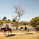 African Horse Company