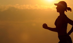 Upcoming Events in Riviersonderend