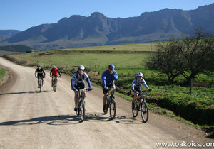 Greyt Upcoming Events in Greyton