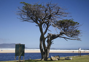 Upcoming Events & Specials in Kleinmond