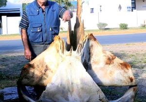 Geraamtes  is Piet Walvis se tydverdryf van jongs af