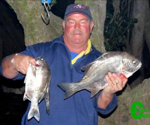 Nuwe voorlopers by kushengelklub