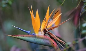 Upcoming Events in Swellendam