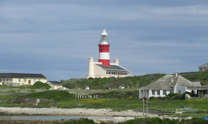 Everything You Need to Know when Visiting Lâ€™Agulhas & Struisbaai