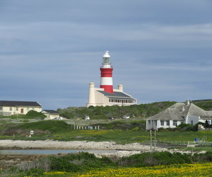 Everything You Need to Know when Visiting Lâ€™Agulhas & Struisbaai