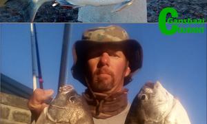 Twee uitstekende hengeldae