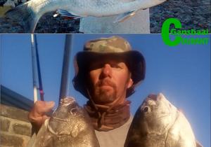 Twee uitstekende hengeldae