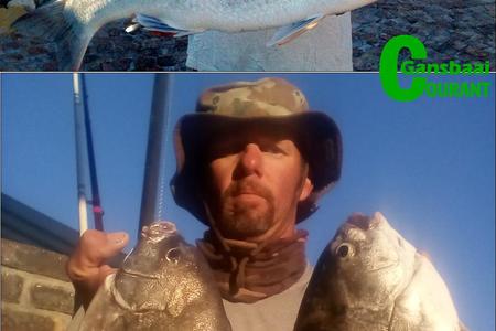 Trevor Gumbrill van Pearly Beach het twee dae na mekaar â€˜n paar mooi visse uitgetrek.Â  Bo spog hy met â€˜n steenbras van 9.5kg wat hy Vrydag, 26 Mei gevang het en Saterdag het hy die twee mooi galjoene met lengtes van onderskeidelik 53cm en 51cm ingekatrol.