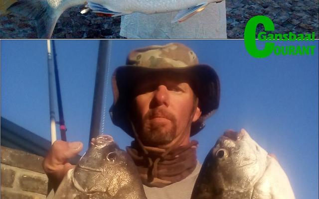 Trevor Gumbrill van Pearly Beach het twee dae na mekaar â€˜n paar mooi visse uitgetrek.Â  Bo spog hy met â€˜n steenbras van 9.5kg wat hy Vrydag, 26 Mei gevang het en Saterdag het hy die twee mooi galjoene met lengtes van onderskeidelik 53cm en 51cm ingekatrol.