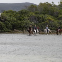 Friends enjoying a quiet afternoon with Horse Riding Gansbaai