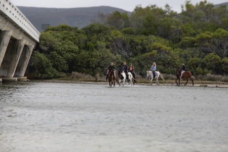 gansbaai_things_to_do_outdoor_adventures_horse_riding_gansbaai_lagoon_ride_1497859795