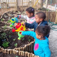 Watering the veggie garden
