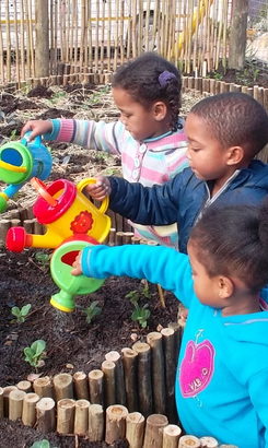 PK_skool_tuin_2015_535_1498642146