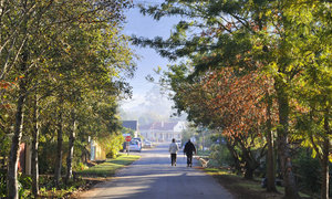 5 Spots to Visit in Greyton