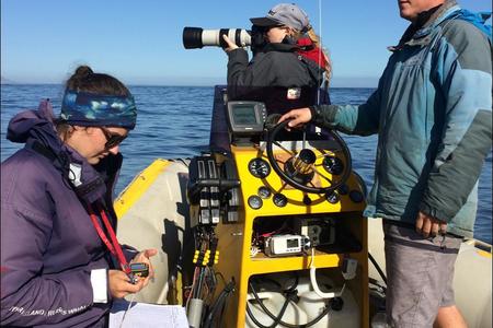 Data recording by Sandra Hoerbst (left) and photo IDâ€™s by Meredith Thornton (middle), with Dr Simon Elwen on one of the two research boats. (Picture: Monique Laubscher.)