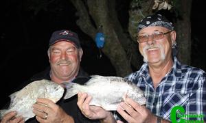 BreÃ«, verleÃ« glimlagte oor galjoentjies