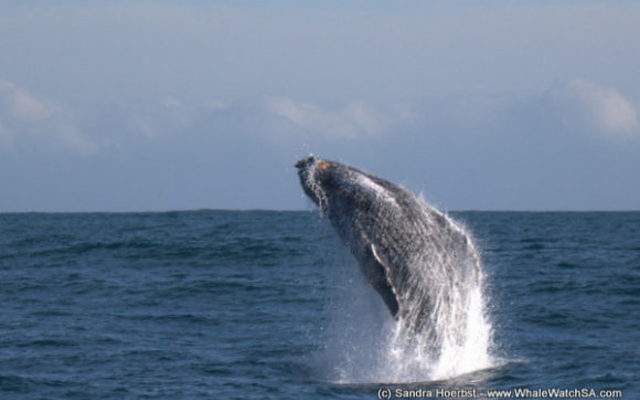 1_20170629_DC_Trip1_SHoerbst_IMG_01_580x388_1498826734