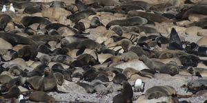 1_20170629_DC_Trip1_SHoerbst_IMG_32_1498826738