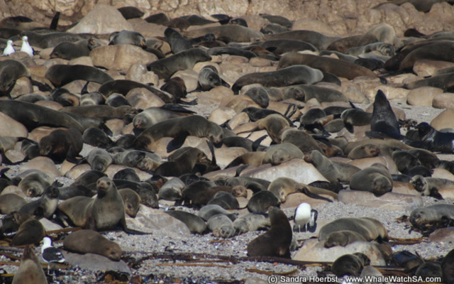 1_20170629_DC_Trip1_SHoerbst_IMG_32_1498826738