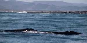 1_20170629_DC_Trip1_SHoerbst_IMG_51_1498826736